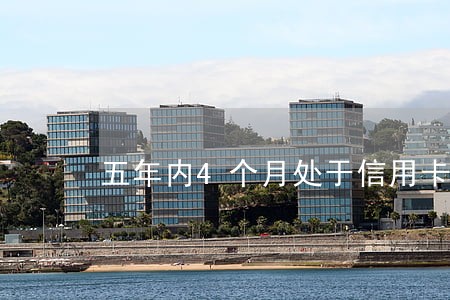 五年内4个月处于信用卡逾期