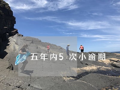 五年内5次小逾期 五年内5次小逾期