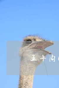 五年内6个月处于逾期状态 五年内6个月处于逾期状态
