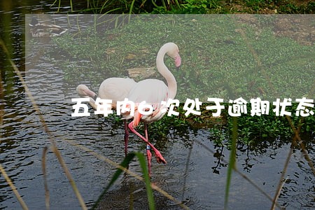 五年内6次处于逾期状态 五年内6次处于逾期状态