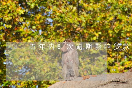 五年内6次逾期影响贷款吗 五年内6次逾期影响贷款吗