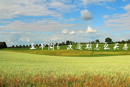 五年内6次逾期怎么买房 五年内6次逾期怎么买房