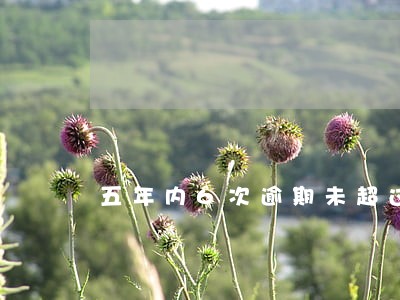五年内6次逾期未超过90天 五年内6次逾期未超过90天