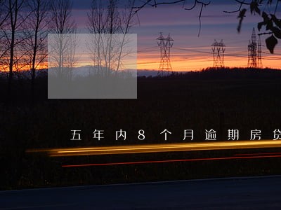 五年内8个月逾期房贷 五年内8个月逾期房贷