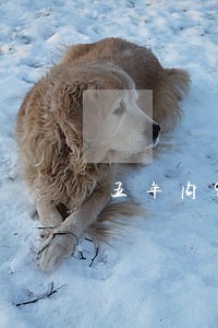 五年内9次逾期能贷款吗 五年内9次逾期能贷款吗