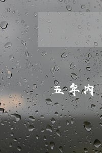 五年内一个月逾期未超过90天 五年内一个月逾期未超过90天