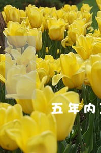 五年内五次逾期没有90天 五年内五次逾期没有90天