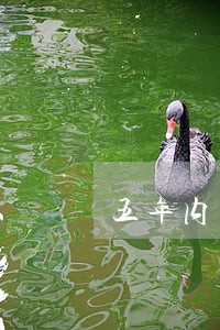 五年内产生6次逾期 五年内产生6次逾期