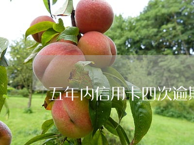 五年内信用卡四次逾期可贷款 五年内信用卡四次逾期可贷款