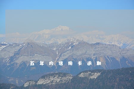 五年内信用卡逾期 五年内信用卡逾期