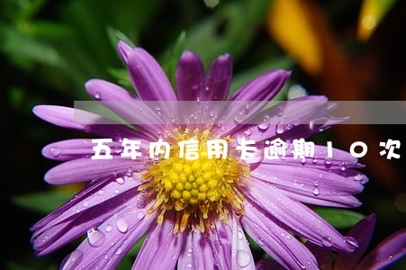 五年内信用卡逾期10次 五年内信用卡逾期10次