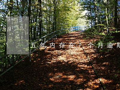 五年内存在7个月逾期 五年内存在7个月逾期