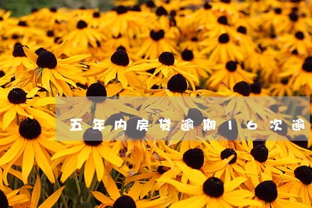 五年内房贷逾期16次逾期