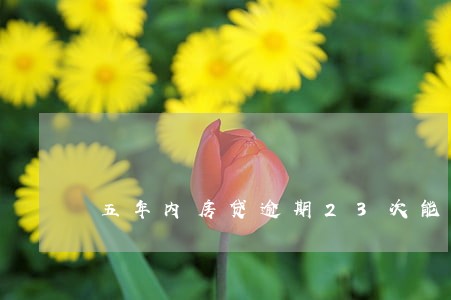 五年内房贷逾期23次能贷款吗 五年内房贷逾期23次能贷款吗