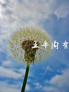 五年内有10个月逾期 五年内有10个月逾期