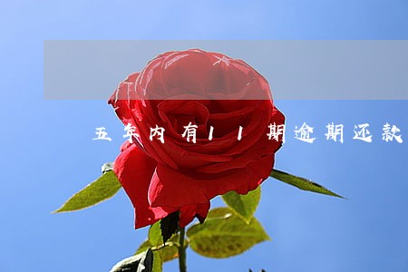 五年内有11期逾期还款 五年内有11期逾期还款