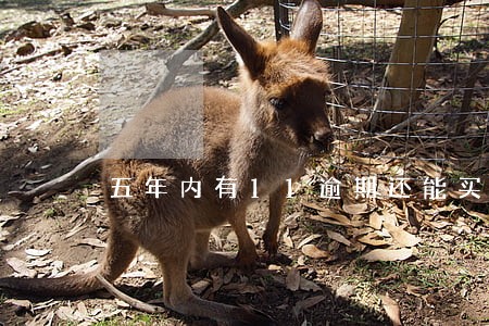 五年内有11逾期还能买房吗 五年内有11逾期还能买房吗