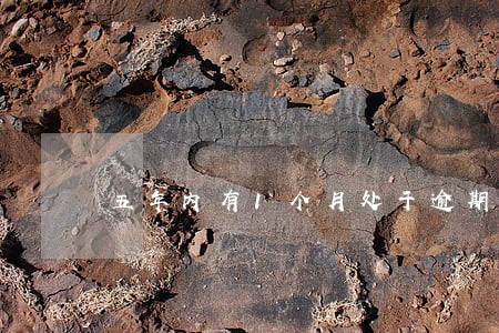 五年内有1个月处于逾期能房贷吗