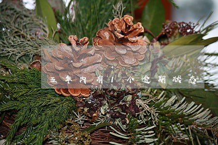 五年内有1个逾期状态 五年内有1个逾期状态