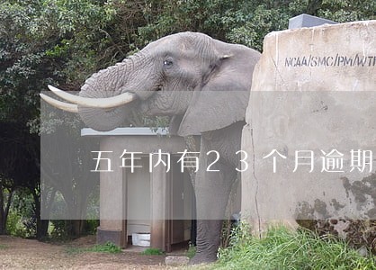 五年内有23个月逾期 五年内有23个月逾期