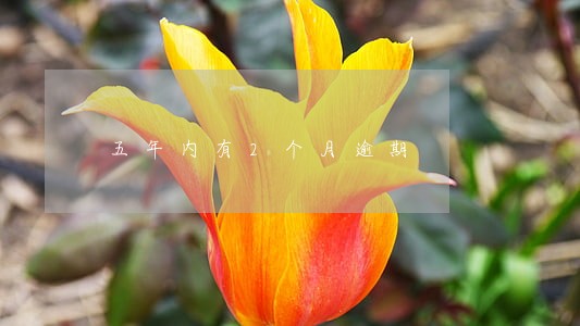五年内有2个月逾期 五年内有2个月逾期