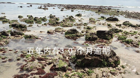 五年内有30个月逾期 五年内有30个月逾期