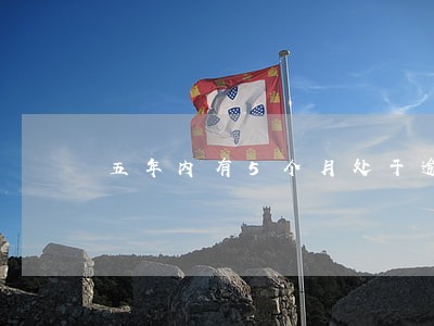 五年内有5个月处于逾期状态 五年内有5个月处于逾期状态