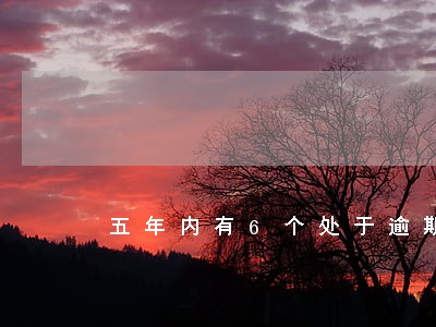 五年内有6个处于逾期 五年内有6个处于逾期