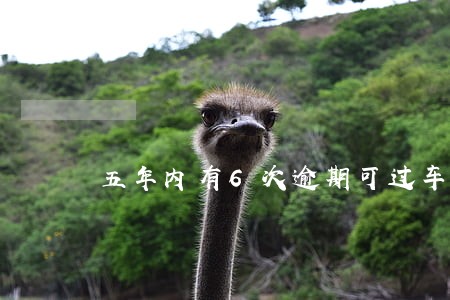 五年内有6次逾期可过车贷吗 五年内有6次逾期可过车贷吗