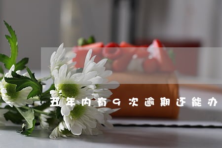 五年内有9次逾期还能办房贷吗 五年内有9次逾期还能办房贷吗