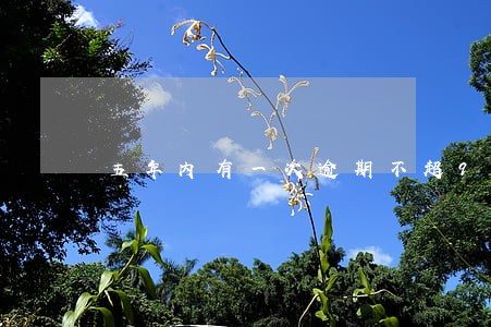 五年内有一次逾期不超90天 五年内有一次逾期不超90天
