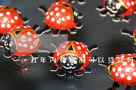 五年内有逾期可以贷款吗 五年内有逾期可以贷款吗