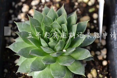 五年内有逾期记录能申请信用卡吗 五年内有逾期记录能申请信用卡吗