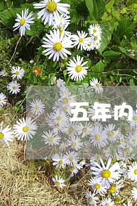 五年内有逾期记录贷款利率 五年内有逾期记录贷款利率