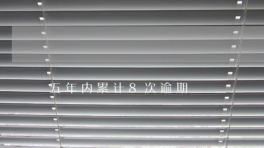 五年内累计8次逾期 五年内累计8次逾期