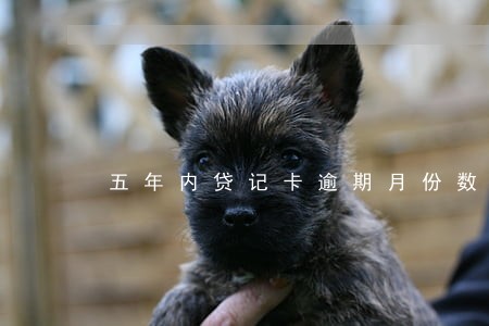 五年内贷记卡逾期月份数3 五年内贷记卡逾期月份数3