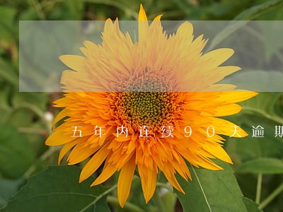 五年内连续90天逾期 五年内连续90天逾期