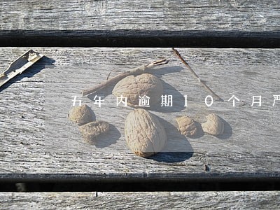 五年内逾期10个月严重吗 五年内逾期10个月严重吗