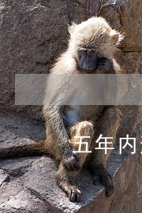 五年内逾期19次 五年内逾期19次