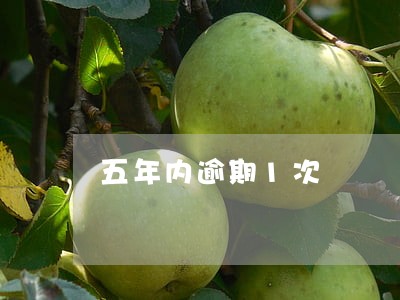 五年内逾期1次 五年内逾期1次