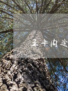 五年内逾期20个月逾期