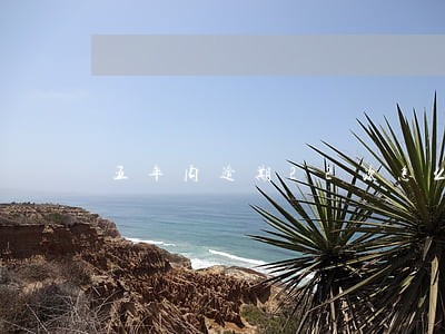 五年内逾期22次怎么处理 五年内逾期22次怎么处理