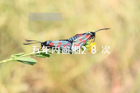 五年内逾期28次 五年内逾期28次