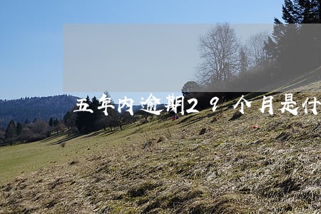 五年内逾期29个月是什么意思 五年内逾期29个月是什么意思