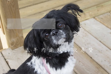 五年内逾期2次房贷 五年内逾期2次房贷
