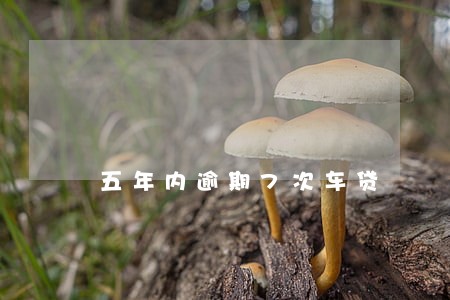 五年内逾期7次车贷 五年内逾期7次车贷