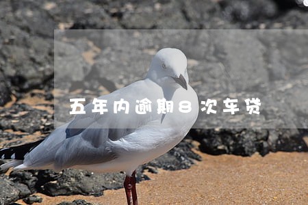 五年内逾期8次车贷 五年内逾期8次车贷