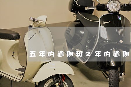 五年内逾期和2年内逾期 五年内逾期和2年内逾期