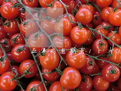 五年内逾期有15个1 五年内逾期有15个1