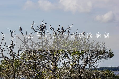 五年前7个月连续逾期 五年前7个月连续逾期
